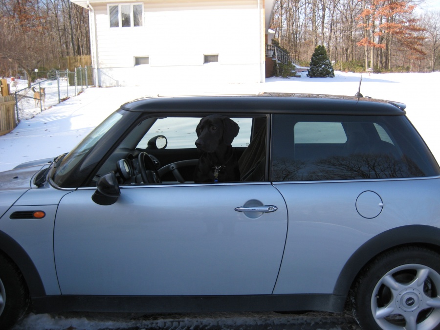 Name:  IMG_0184.jpg
Views: 80
Size:  181.3 KB