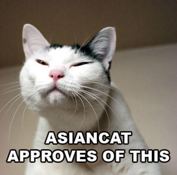 Name:  azncat.jpg
Views: 106
Size:  39.4 KB
