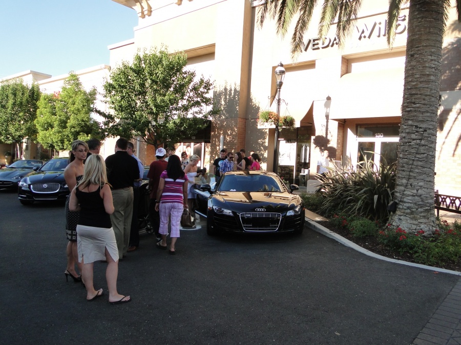 Name:  cacar show 004.jpg
Views: 168
Size:  269.6 KB