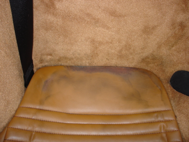 Name:  DSC07233-1.JPG
Views: 388
Size:  157.3 KB