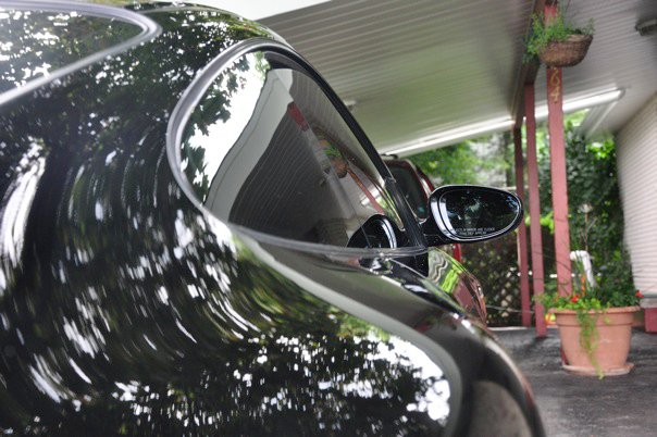 Name:  Woody3.jpg
Views: 94
Size:  68.7 KB