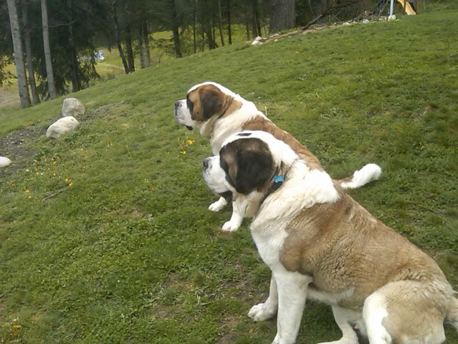 Name:  IMG00529-20100408-1111.jpg
Views: 51
Size:  242.7 KB