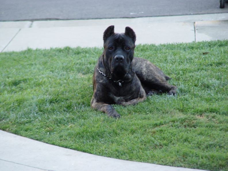 Name:  DSC00047.JPG
Views: 92
Size:  80.5 KB