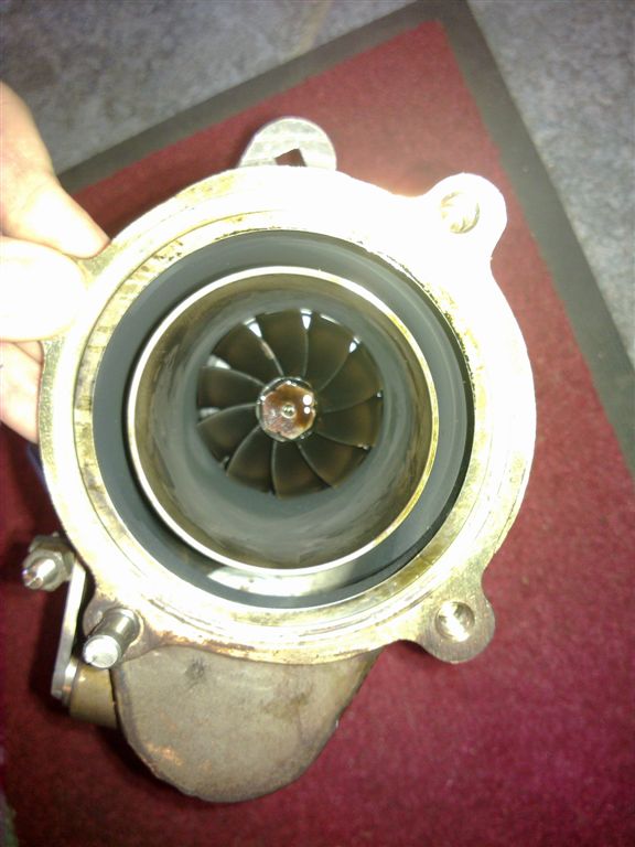 Name:  20101001927.jpg
Views: 139
Size:  65.7 KB