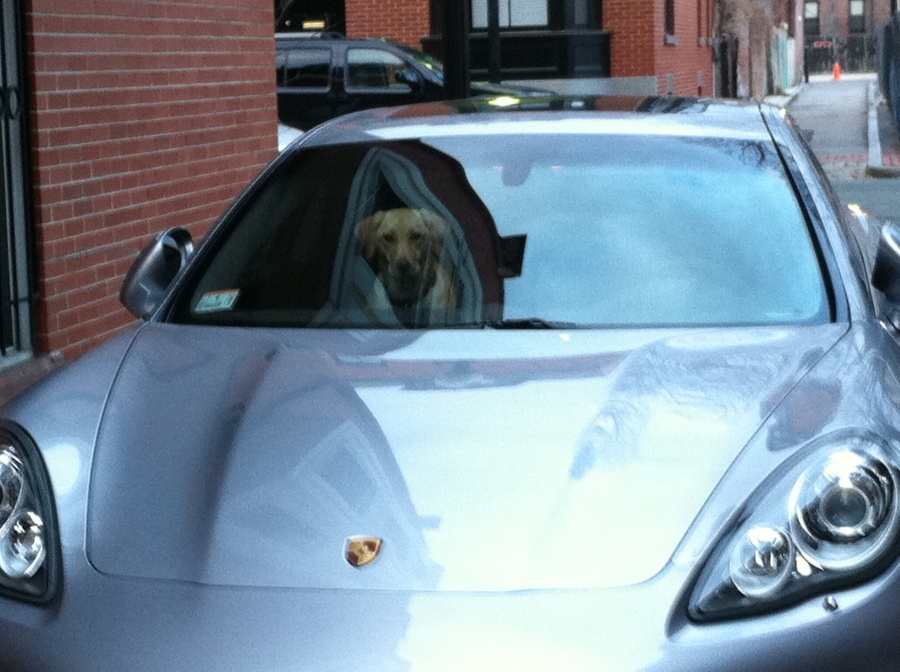 Name:  IMG_0250.jpg
Views: 98
Size:  202.2 KB