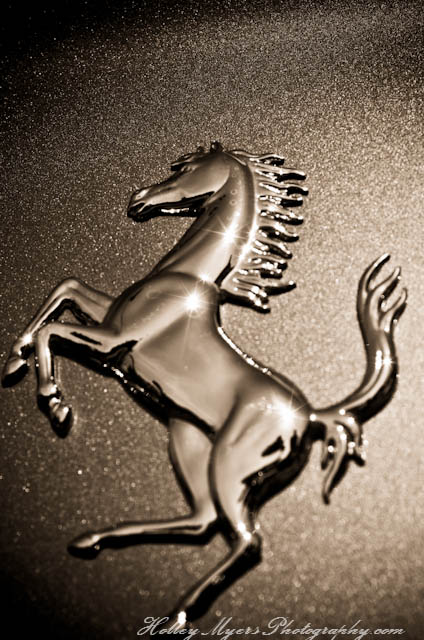 Name:  20120518-1.6.12HolleyMyersPhotographyCar Show-11080080008.jpg
Views: 59
Size:  117.7 KB