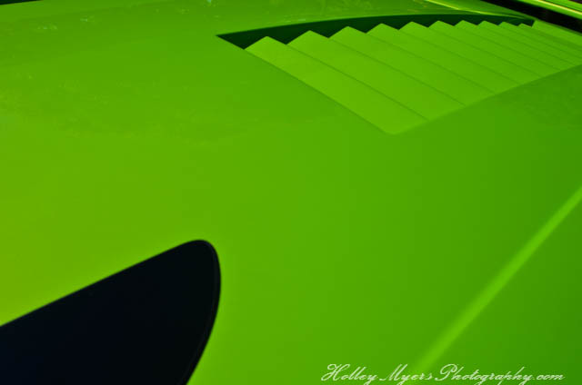 Name:  20120518-1.6.12HolleyMyersPhotographyCar Show-71590590059.jpg
Views: 50
Size:  42.1 KB