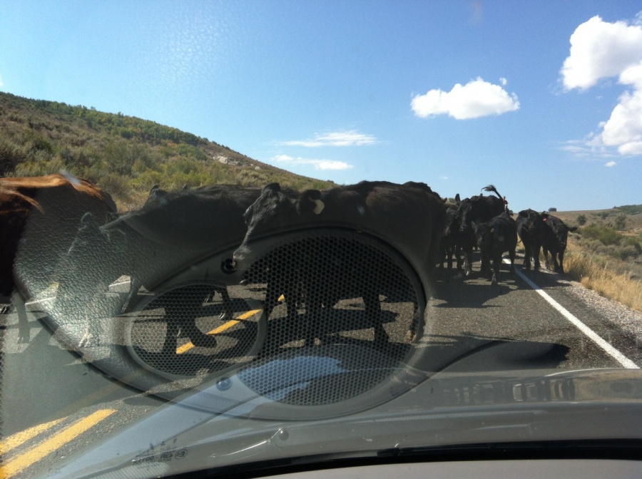 Name:  get-attachment.aspx.jpg
Views: 450
Size:  192.8 KB