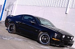 Click image for larger version

Name:	black05mustang009R.jpg
Views:	587
Size:	89.3 KB
ID:	356462