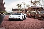 Click image for larger version

Name:	lamborghinilp720purrs081.jpg
Views:	74
Size:	1,013.3 KB
ID:	371385