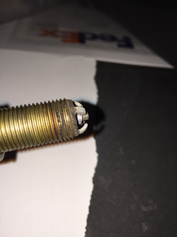 Name:  image-3370105083.jpg
Views: 328
Size:  340.3 KB