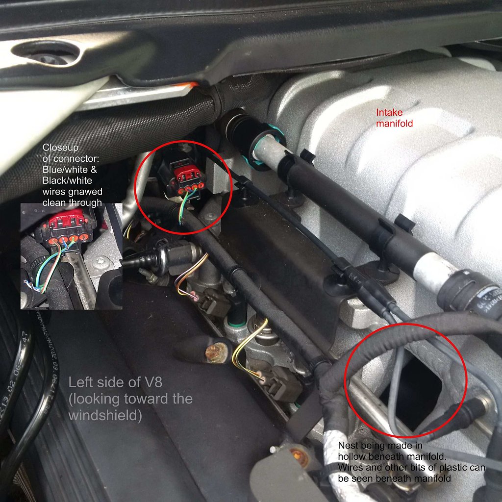 Click image for larger version
Name: Damaged Connector_annotated.jpg
Views: 109
Size: 367.6 KB
ID: 462506