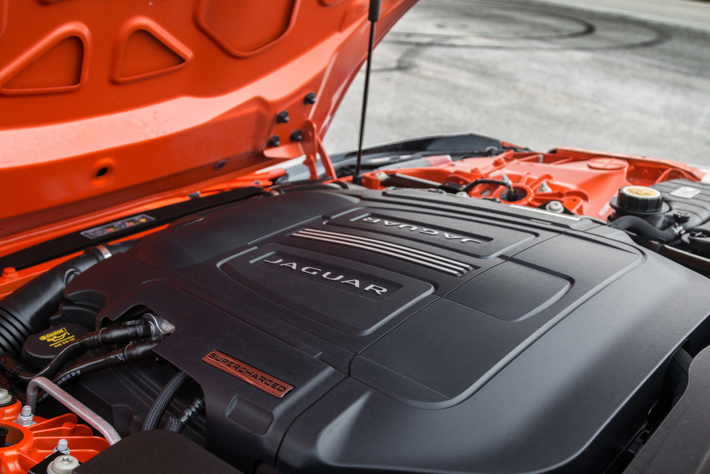 Name:  IMG_7933_zpsjcmj9ao6.jpeg
Views: 193
Size:  275.4 KB