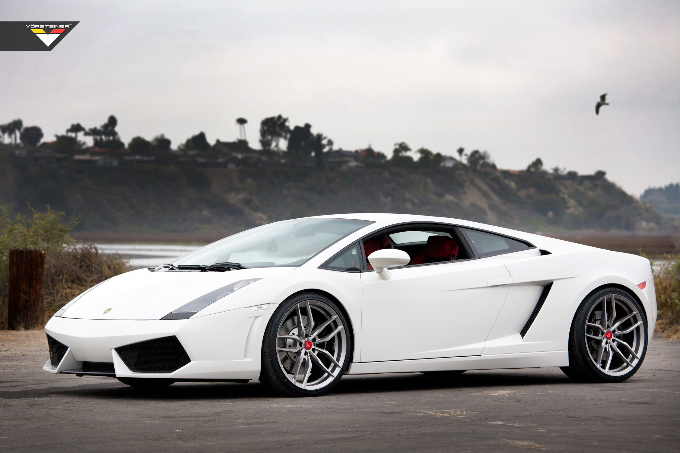Name:  VFF105_Gallardo_zpszgnjahbx.jpg
Views: 664
Size:  1.25 MB