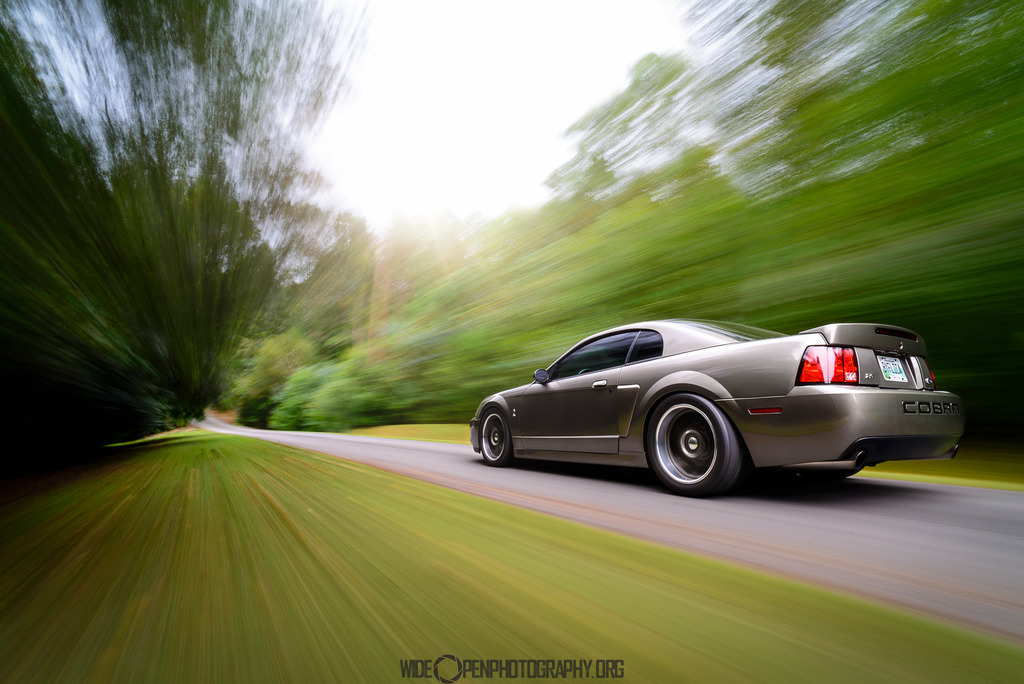 Name:  The%20Terminator%201%20of%201-4.jpg
Views: 595
Size:  234.9 KB