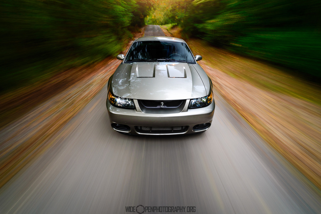 Name:  The%20Terminator%201%20of%201-5.jpg
Views: 555
Size:  225.9 KB