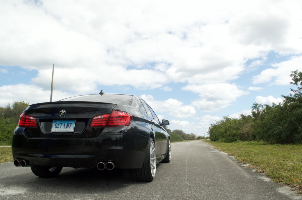 Name:  DSC_0288.jpg
Views: 46
Size:  141.9 KB