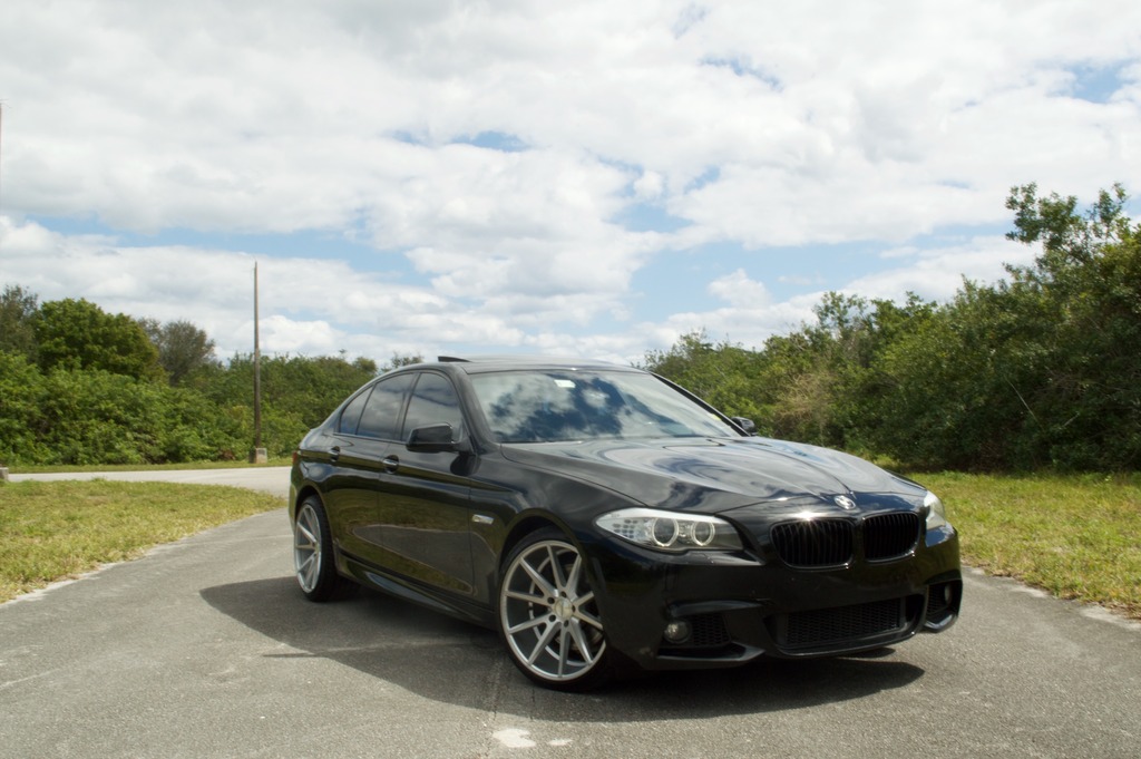 Name:  DSC_0246.jpg
Views: 47
Size:  167.5 KB