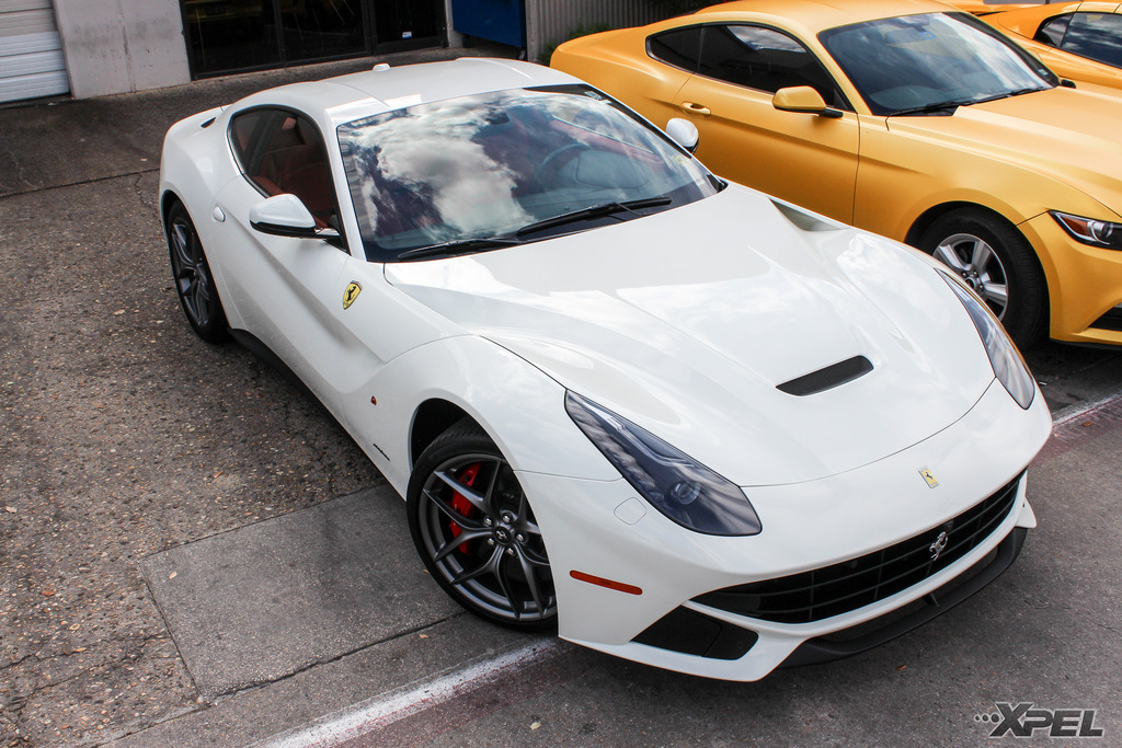 Name:  Ferrari_F12_Berlinetta_XPEL_ClearBra_IMG_6651.jpg
Views: 270
Size:  331.0 KB