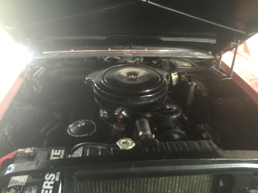 Name:  IMG_0318_zpsnmbob4qj.jpg
Views: 274
Size:  122.5 KB