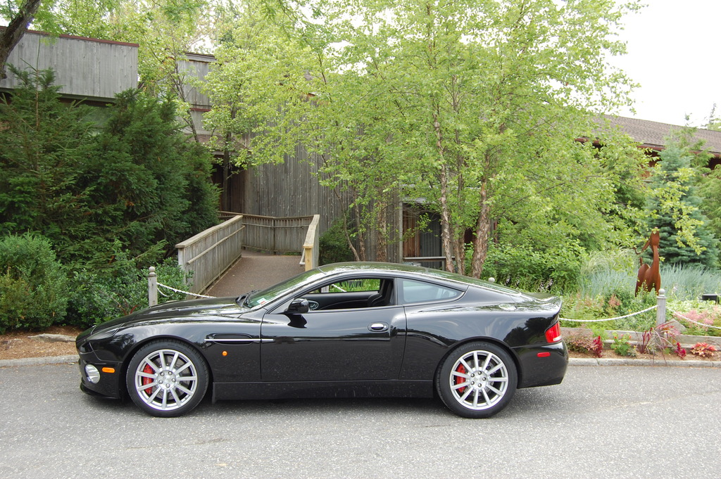 Name:  DSC_0037.jpg
Views: 532
Size:  409.0 KB