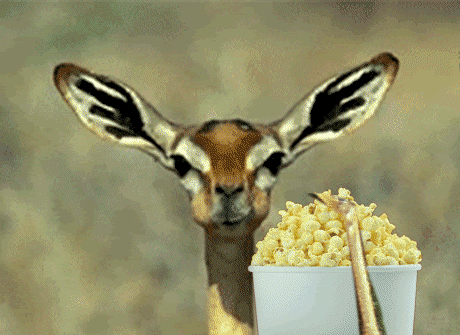 Name:  5ed0r9.gif
Views: 193
Size:  2.69 MB