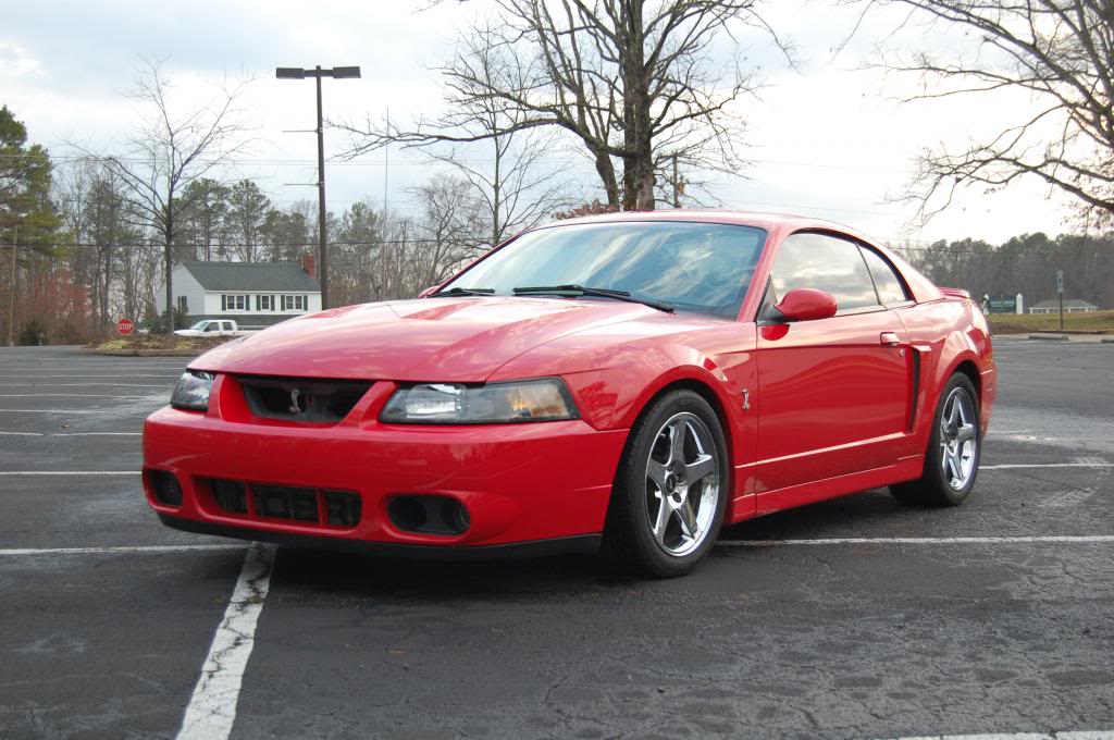 Name:  DSC_0259_zps1612a1a0.jpg
Views: 1446
Size:  110.5 KB