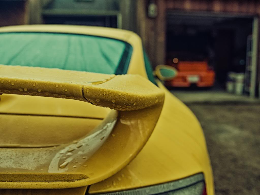 Name:  DSC_5976-Edit-Edit-Edit.jpg
Views: 213
Size:  63.7 KB