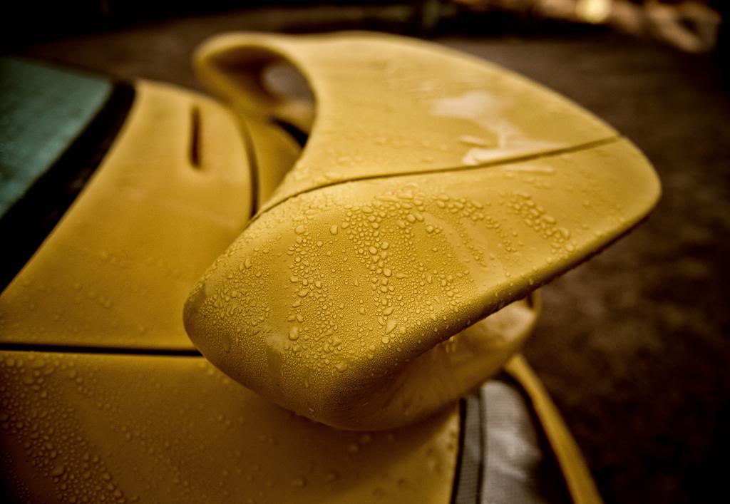 Name:  DSC_5972-Edit-Edit-1-1.jpg
Views: 212
Size:  59.9 KB