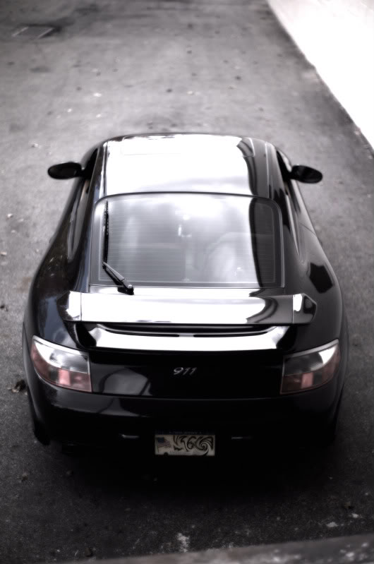 Name:  L1002409-Edit-Edit-Edit-1.jpg
Views: 236
Size:  50.2 KB