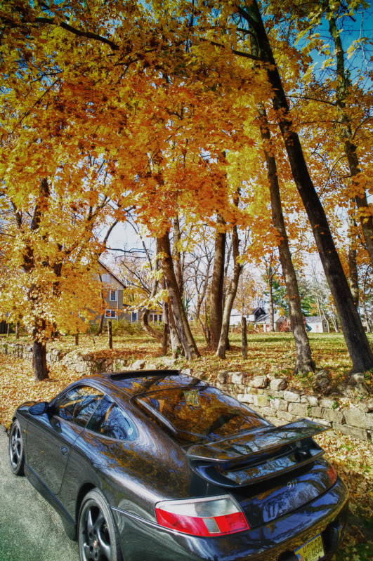 Name:  Fall-2.jpg
Views: 256
Size:  225.3 KB