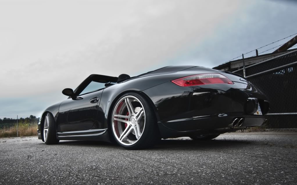 Name:  DSC_2368a.jpg
Views: 426
Size:  100.6 KB