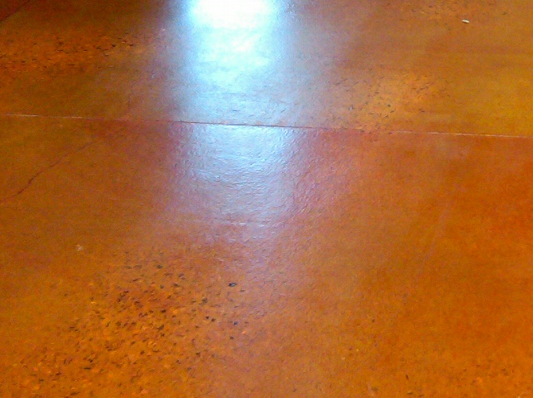 Name:  FloorMotorplexS.jpg
Views: 2673
Size:  161.9 KB