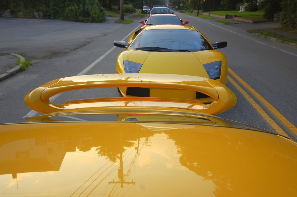 Name:  DSC_0211.jpg
Views: 209
Size:  70.8 KB