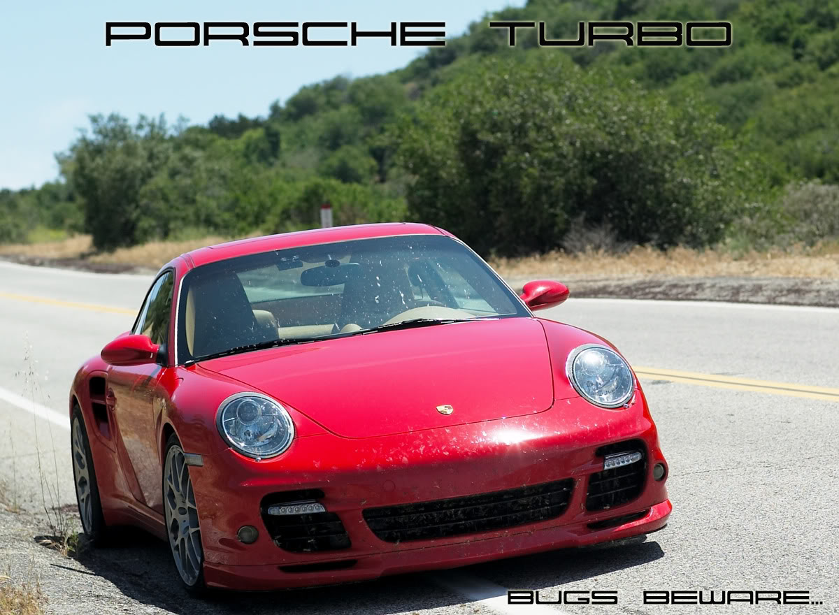 Name:  08AE9999-3BUGSBEWARE.jpg
Views: 927
Size:  197.4 KB