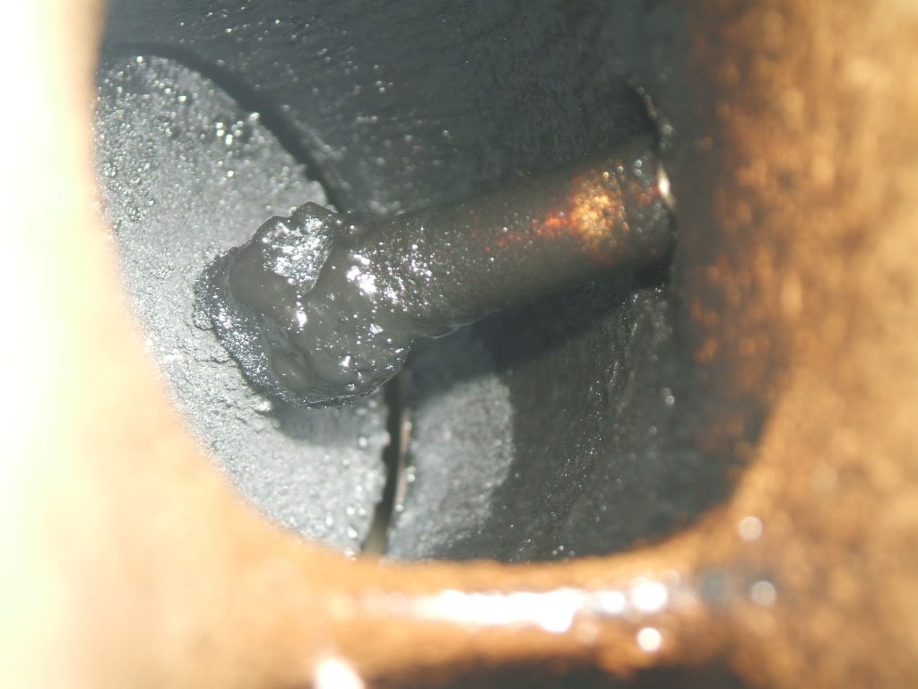 Name:  Hoffman_002.jpg
Views: 849
Size:  80.8 KB