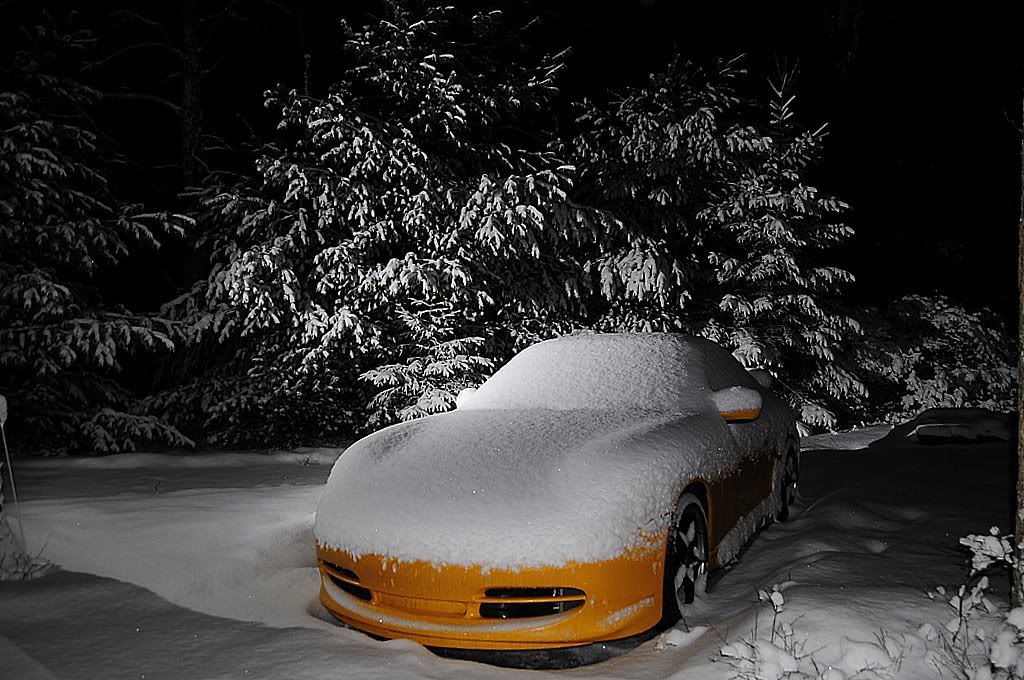 Name:  DSC_1817.jpg
Views: 228
Size:  154.5 KB