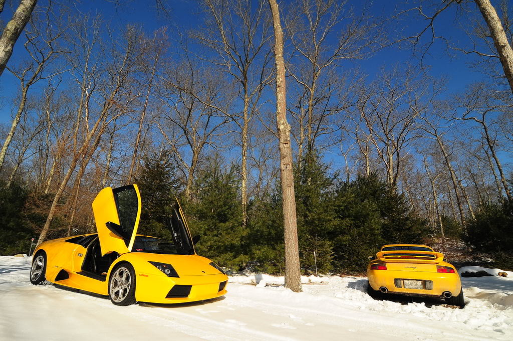 Name:  DSC_1779.jpg
Views: 245
Size:  206.9 KB