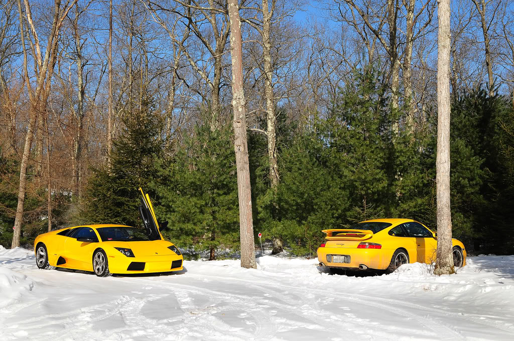 Name:  DSC_17391.jpg
Views: 258
Size:  303.6 KB