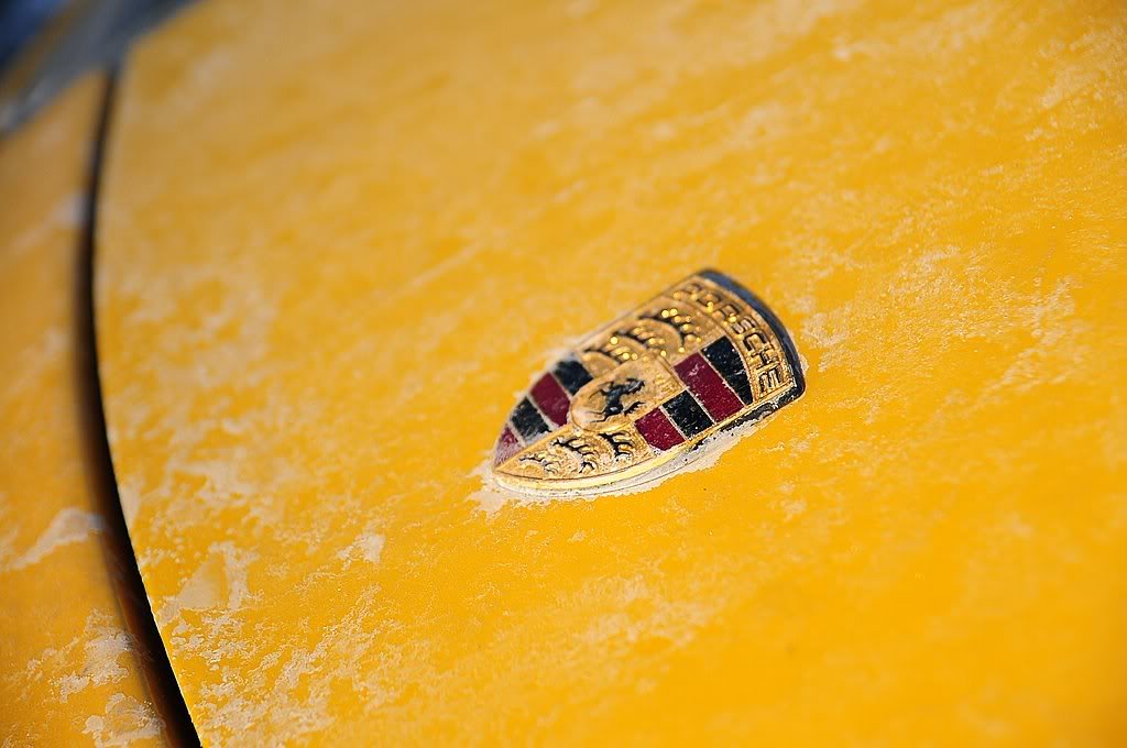 Name:  DSC_0515-1.jpg
Views: 250
Size:  75.5 KB