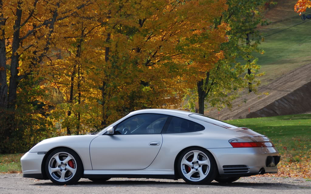 Name:  DSC_7257.jpg
Views: 304
Size:  168.8 KB