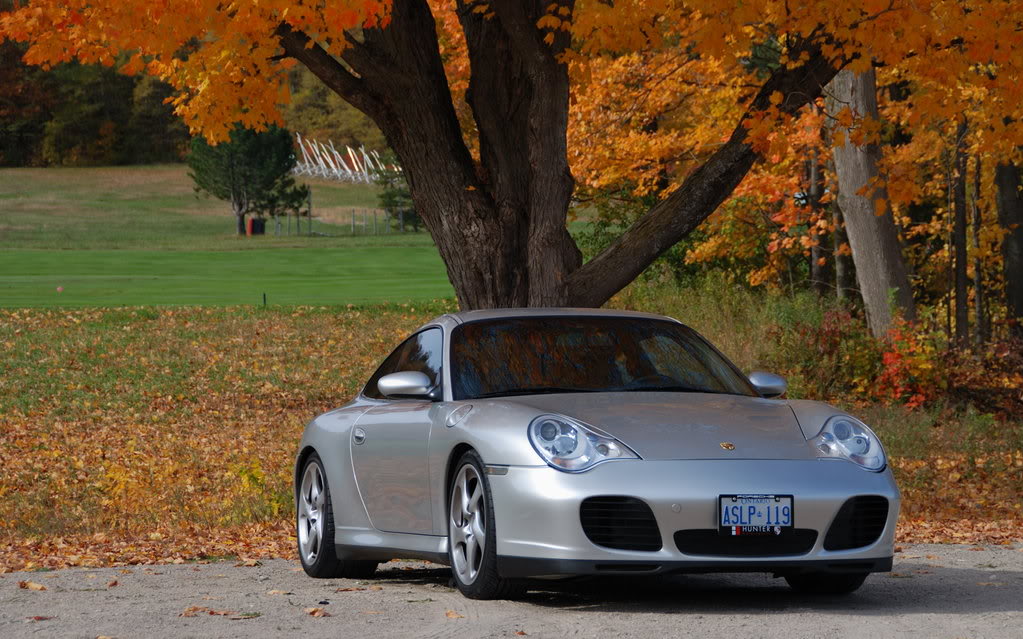 Name:  DSC_7258.jpg
Views: 301
Size:  169.3 KB