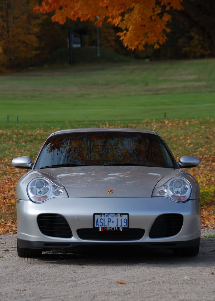 Name:  DSC_7263.jpg
Views: 320
Size:  113.2 KB