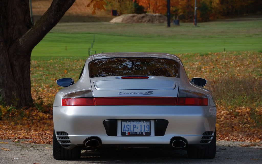 Name:  DSC_7267.jpg
Views: 304
Size:  111.6 KB