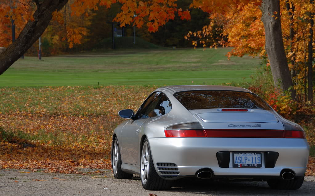 Name:  DSC_7268.jpg
Views: 302
Size:  145.9 KB