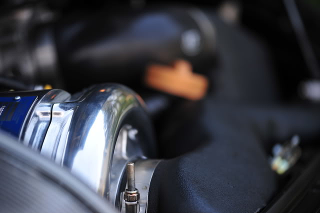 Name:  ND3_5298.jpg
Views: 318
Size:  60.6 KB