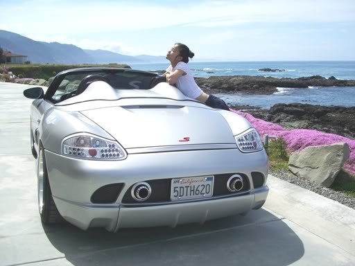 Name:  CIMG3974b.jpg
Views: 494
Size:  61.1 KB