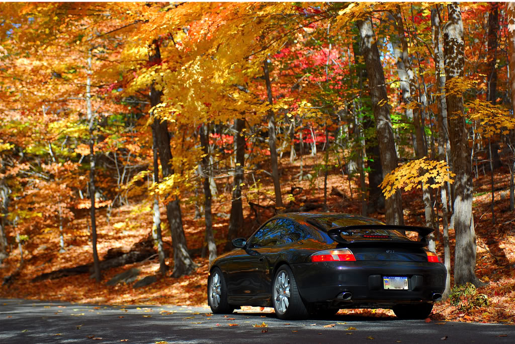 Name:  renn25.jpg
Views: 456
Size:  257.5 KB