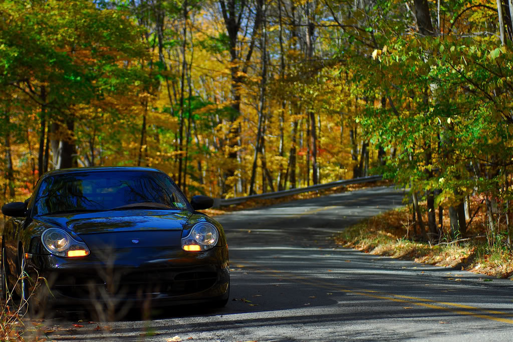 Name:  renn26.jpg
Views: 505
Size:  218.3 KB