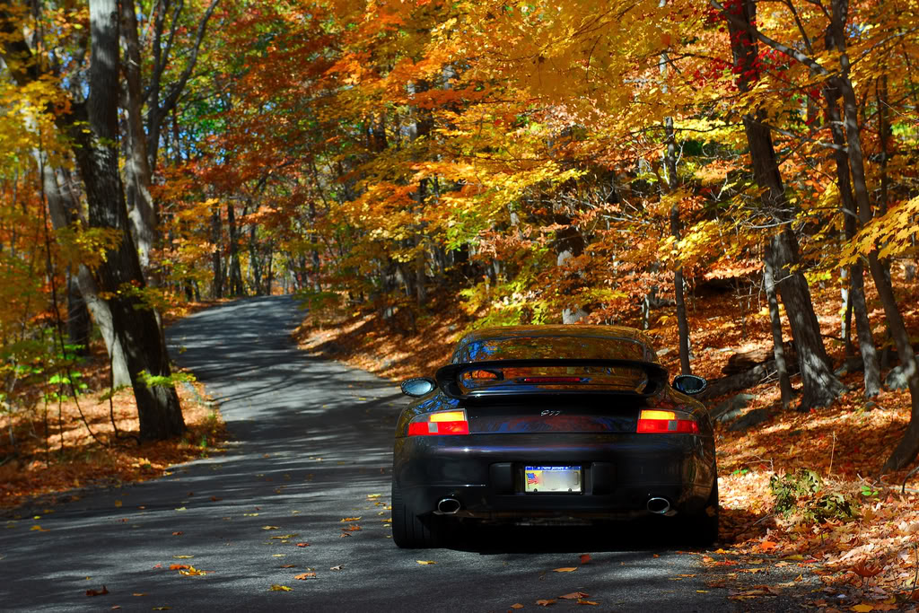 Name:  renn24.jpg
Views: 514
Size:  260.3 KB